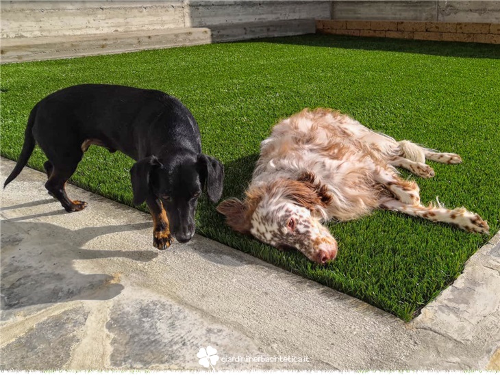 Realizzazioni Il giardino perfetto per i tuoi animali