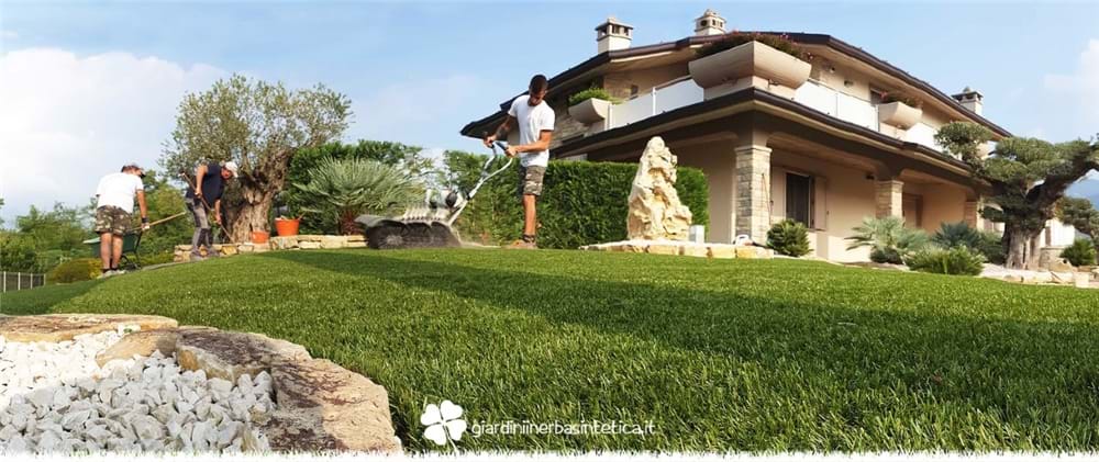 News Erba sintetica opinioni